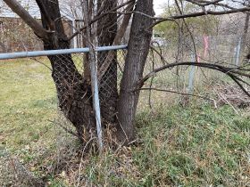 fence removal